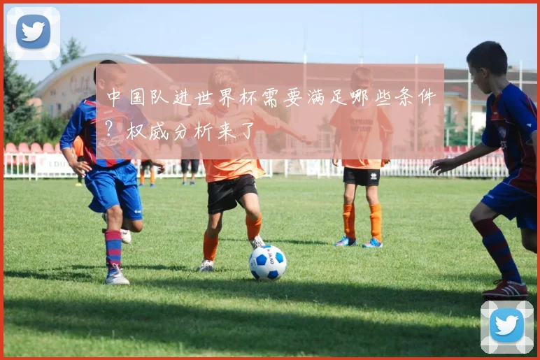 中国队进世界杯需要满足哪些条件？权威分析来了