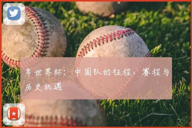 年世界杯：中国队的征程、赛程与历史机遇