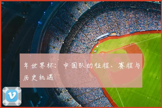 年世界杯：中国队的征程、赛程与历史机遇